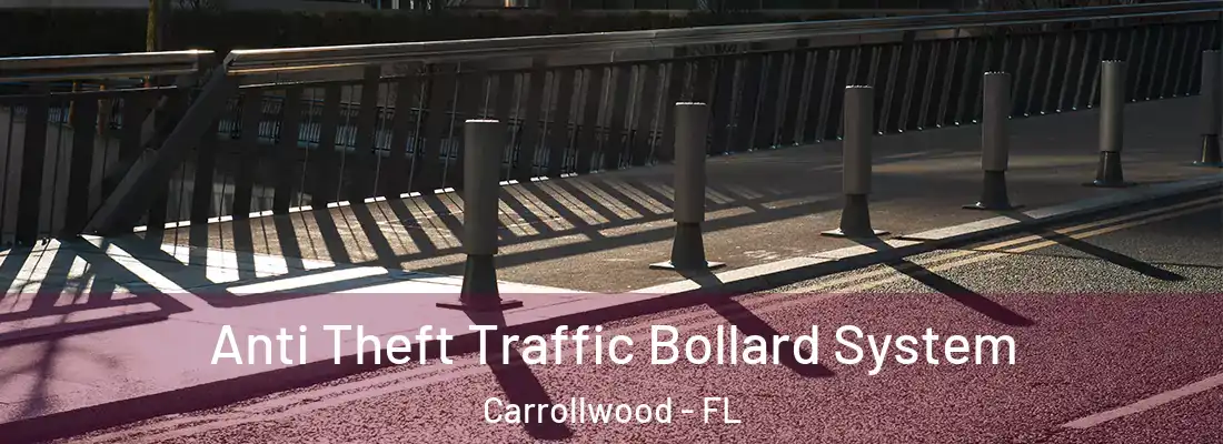 Anti Theft Traffic Bollard System Carrollwood - FL
