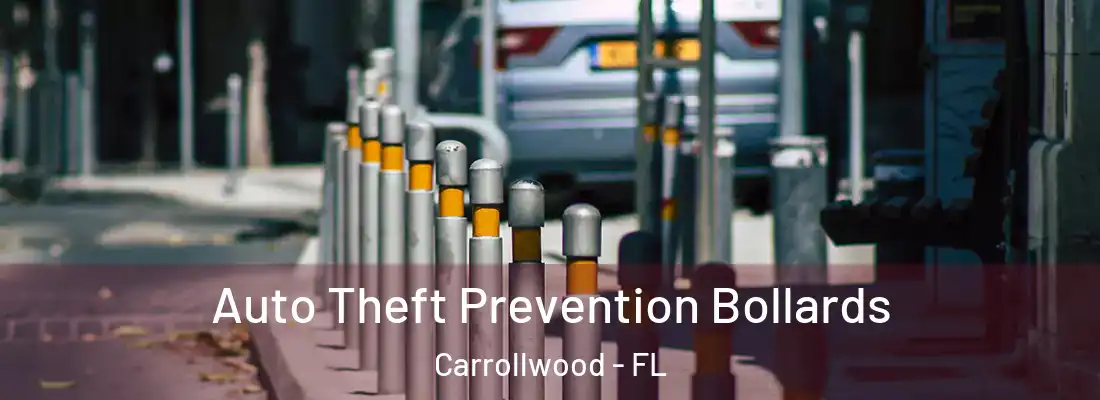Auto Theft Prevention Bollards Carrollwood - FL