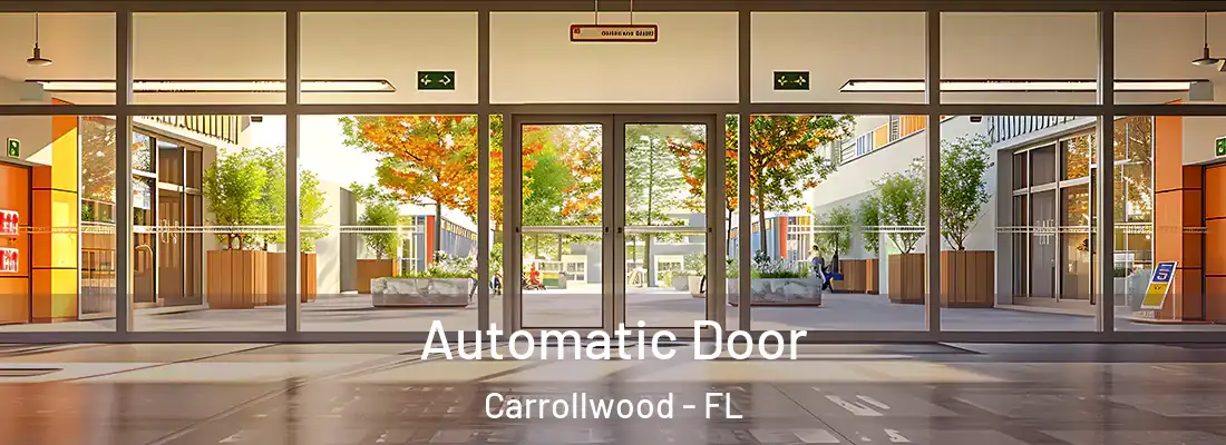 Automatic Door Carrollwood - FL