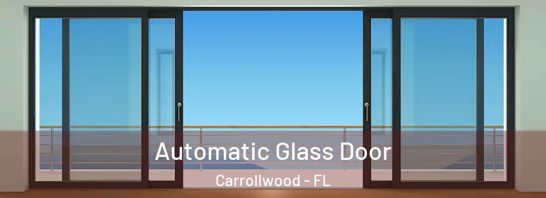 Automatic Glass Door Carrollwood - FL