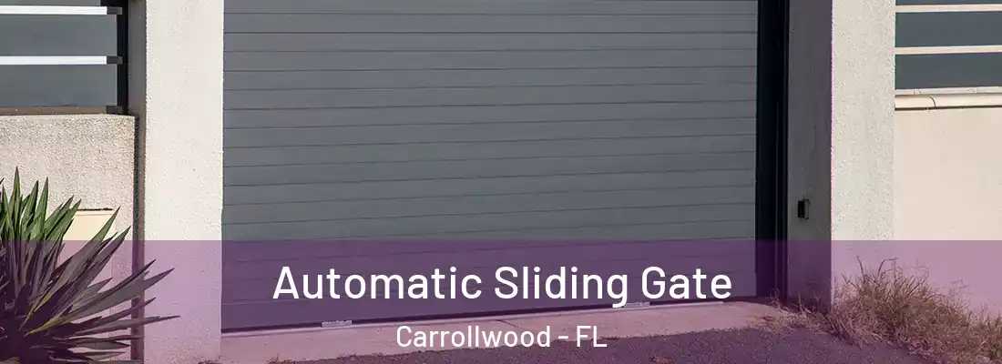 Automatic Sliding Gate Carrollwood - FL