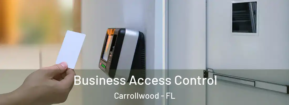 Business Access Control Carrollwood - FL