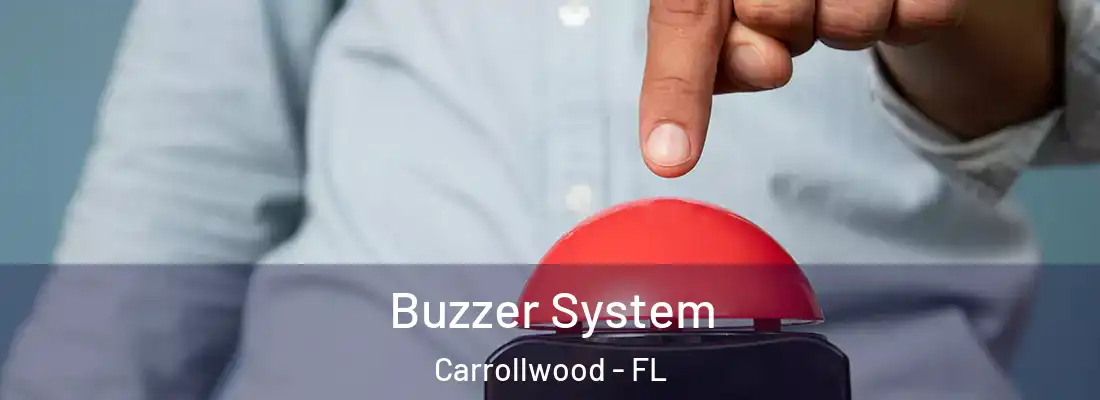 Buzzer System Carrollwood - FL