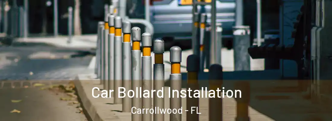 Car Bollard Installation Carrollwood - FL