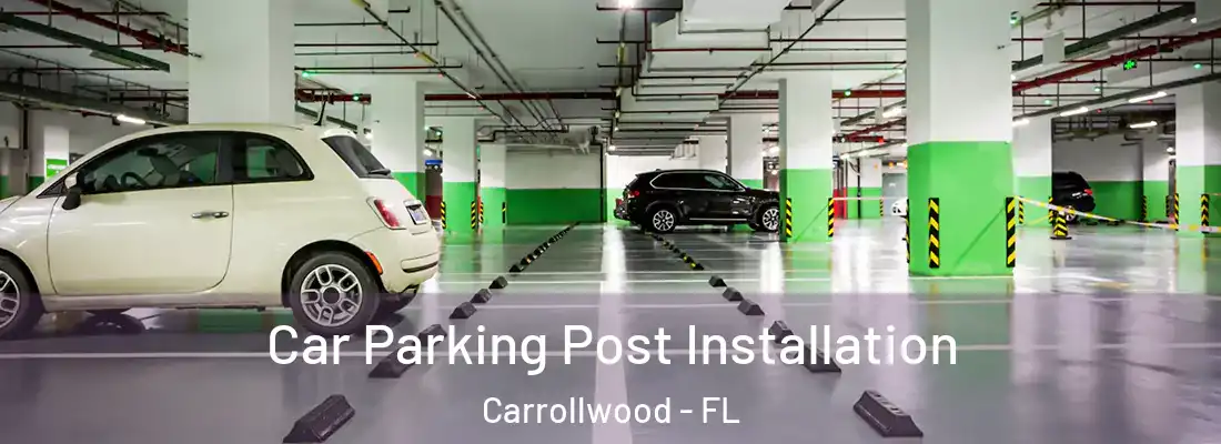 Car Parking Post Installation Carrollwood - FL