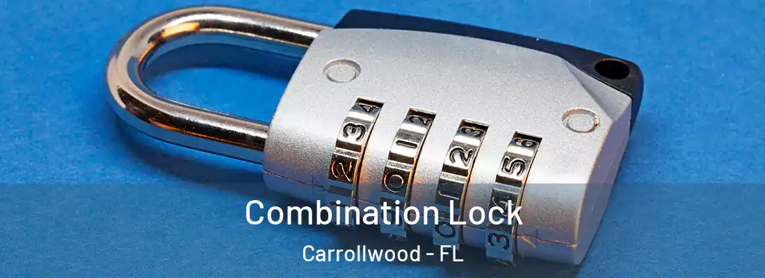 Combination Lock Carrollwood - FL
