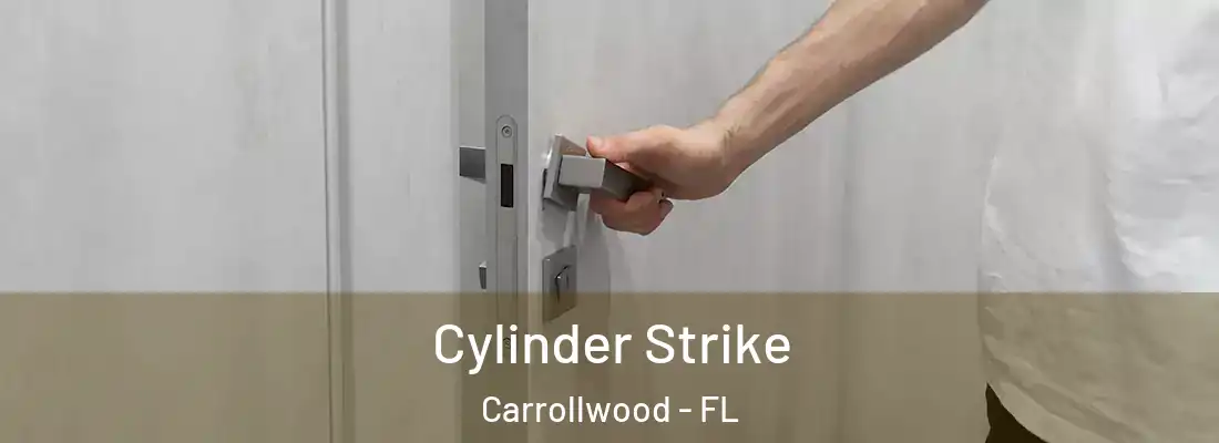 Cylinder Strike Carrollwood - FL