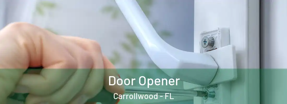 Door Opener Carrollwood - FL