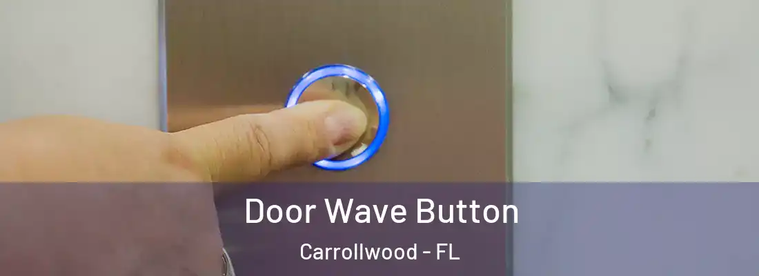 Door Wave Button Carrollwood - FL