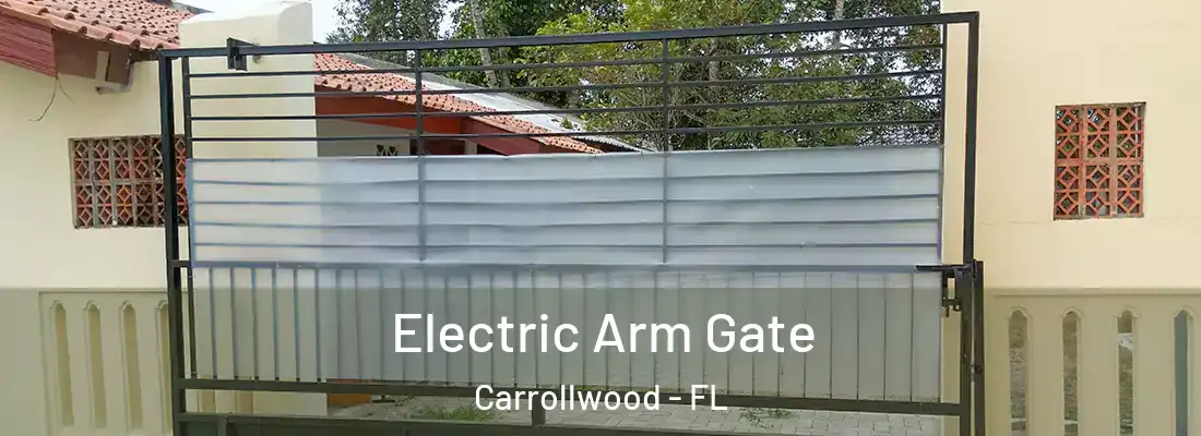 Electric Arm Gate Carrollwood - FL