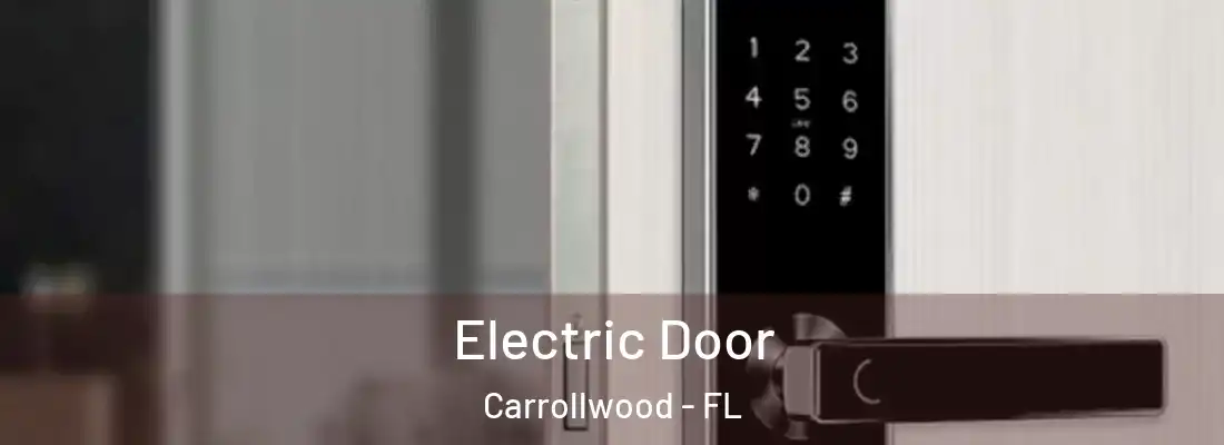 Electric Door Carrollwood - FL