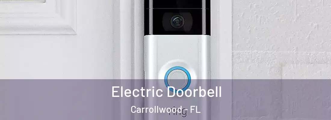 Electric Doorbell Carrollwood - FL