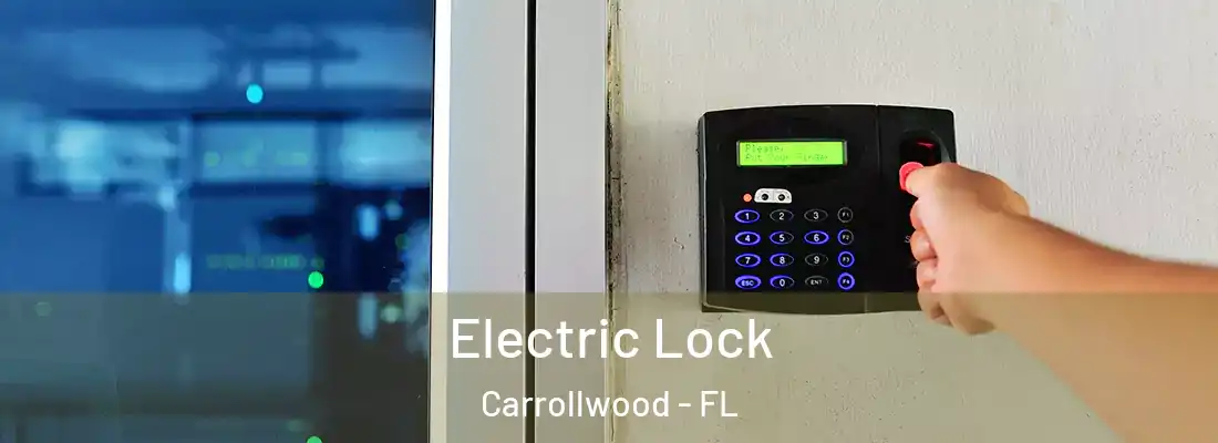 Electric Lock Carrollwood - FL