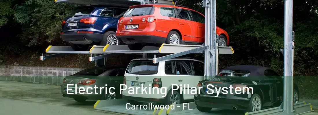 Electric Parking Pillar System Carrollwood - FL