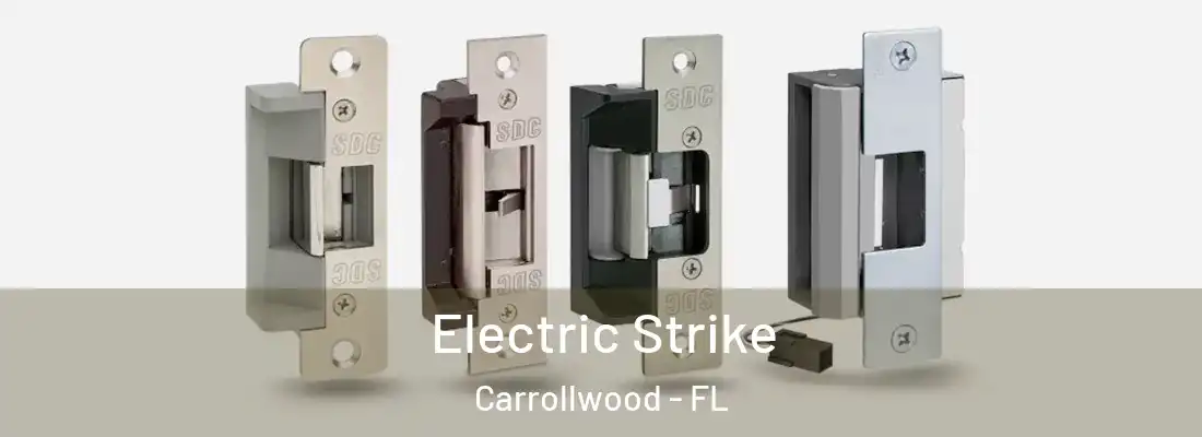 Electric Strike Carrollwood - FL