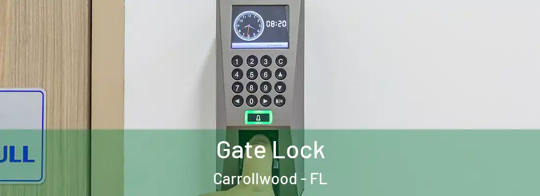 Gate Lock Carrollwood - FL