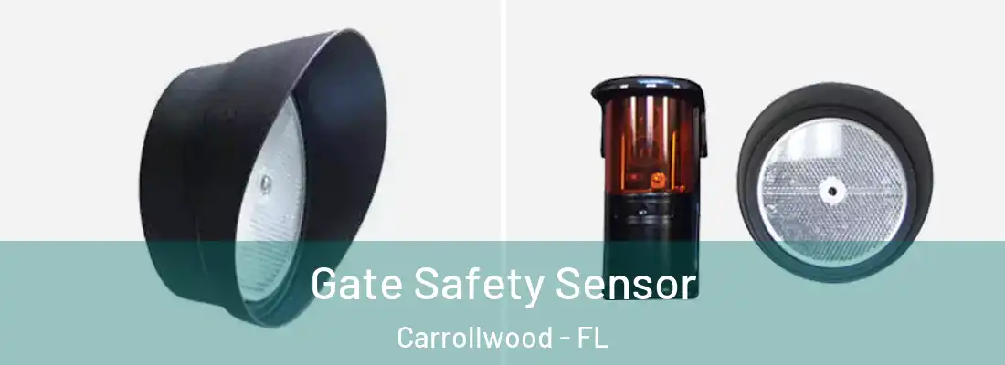 Gate Safety Sensor Carrollwood - FL