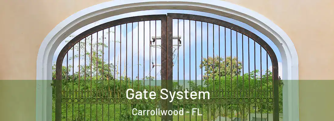 Gate System Carrollwood - FL