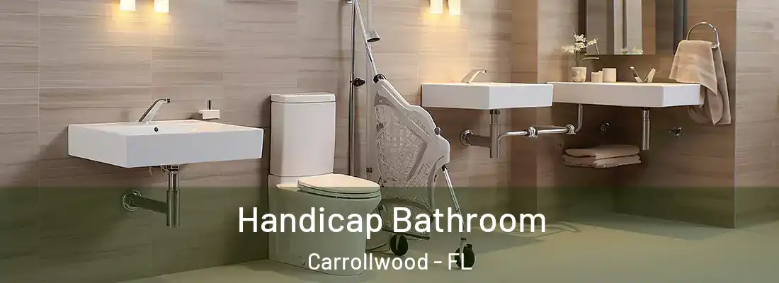 Handicap Bathroom Carrollwood - FL