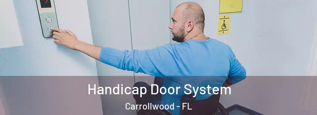 Handicap Door System Carrollwood - FL