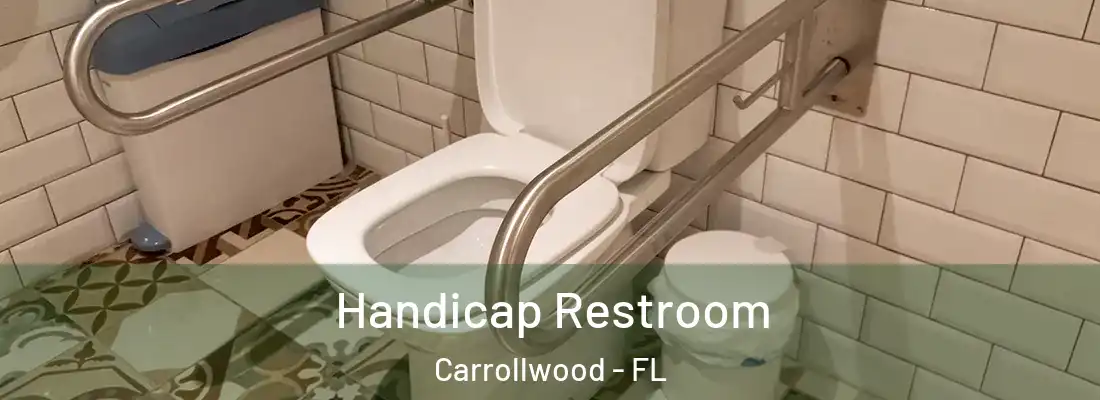 Handicap Restroom Carrollwood - FL