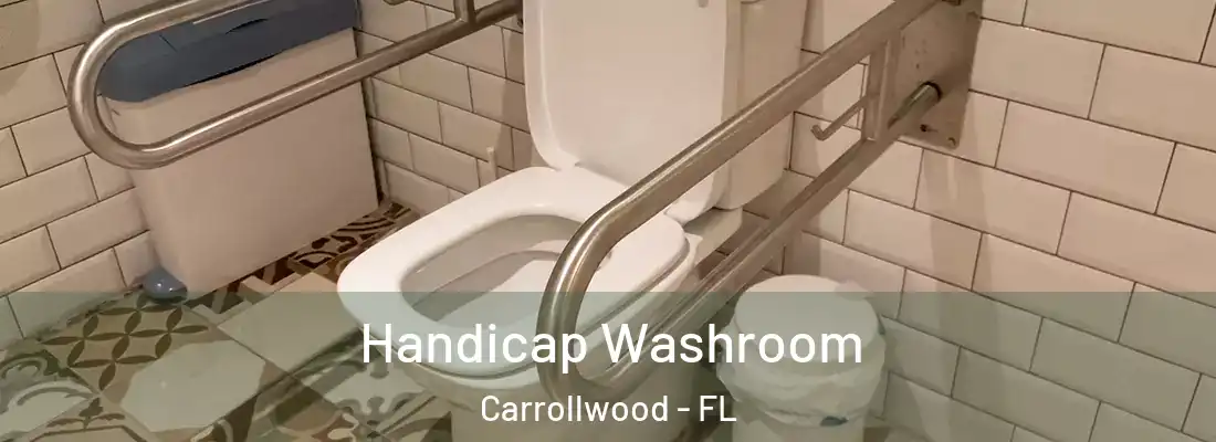 Handicap Washroom Carrollwood - FL