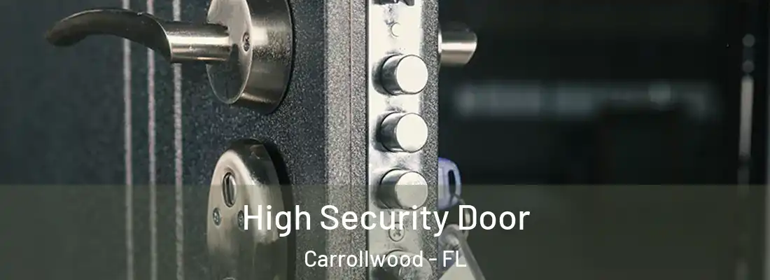 High Security Door Carrollwood - FL