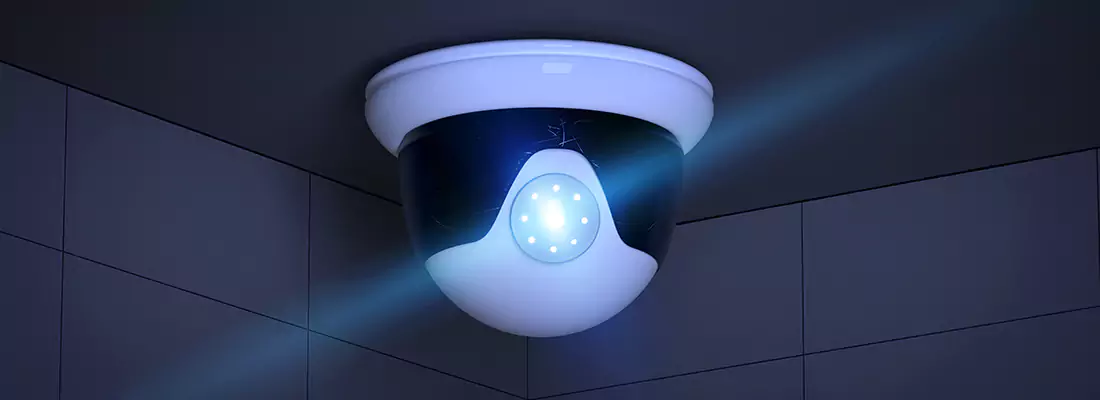 Affordable Night Vision CCTV Camera Services in Carrollwood, FL