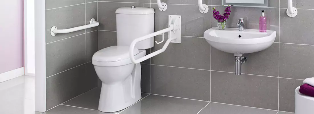 Modern Handicap Bathroom Solutions with Safety Features in Carrollwood, FL