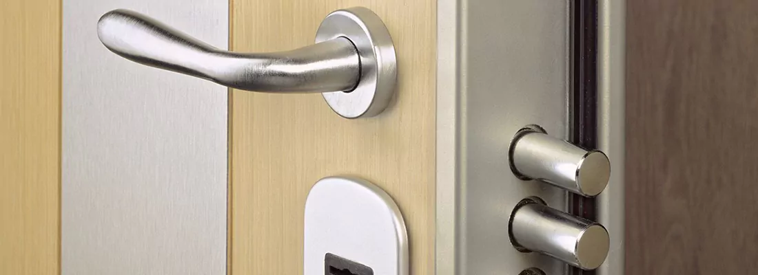 Steel and Reinforced High-Security Doors in Carrollwood, FL