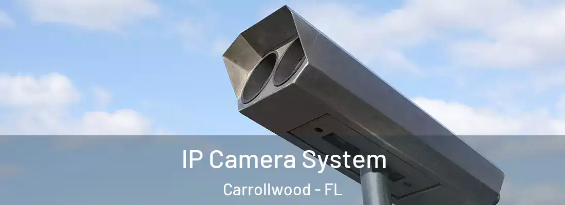 IP Camera System Carrollwood - FL