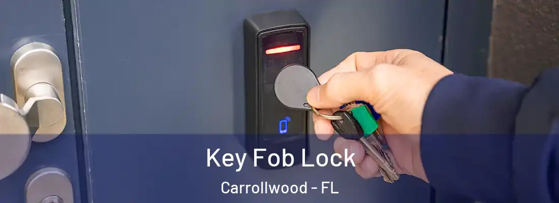 Key Fob Lock Carrollwood - FL