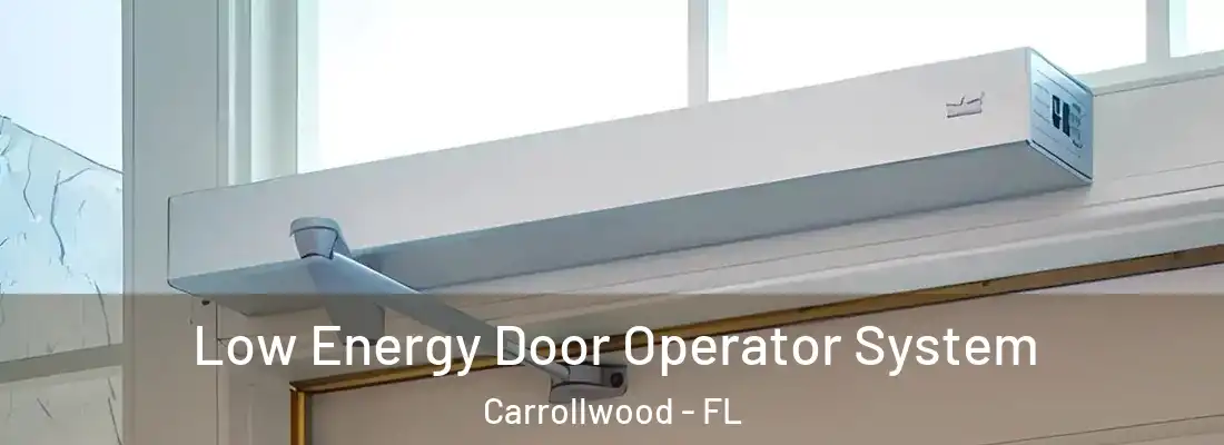 Low Energy Door Operator System Carrollwood - FL