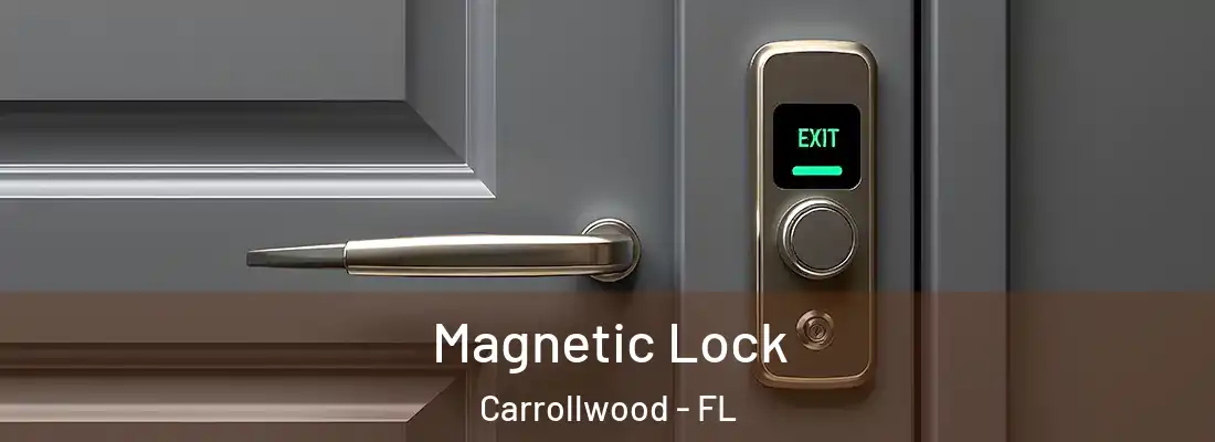 Magnetic Lock Carrollwood - FL