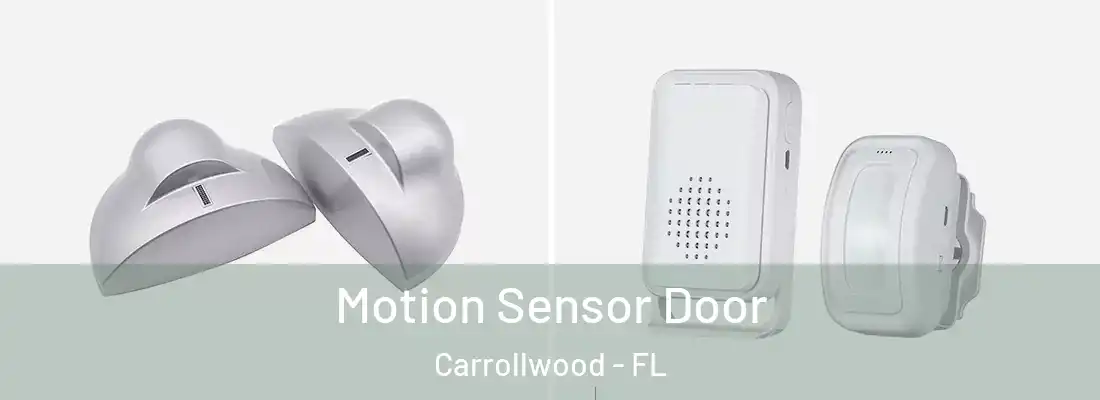 Motion Sensor Door Carrollwood - FL