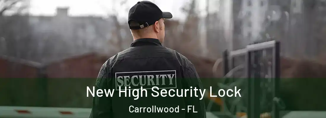 New High Security Lock Carrollwood - FL
