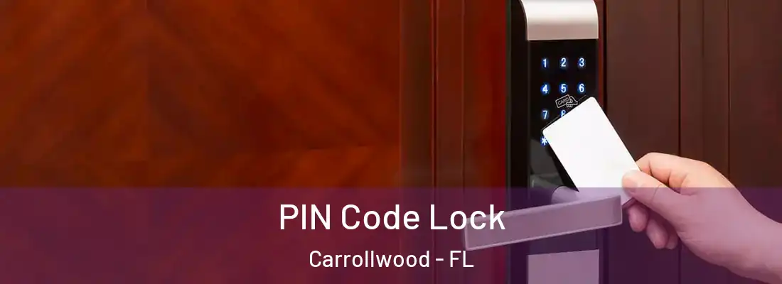 PIN Code Lock Carrollwood - FL