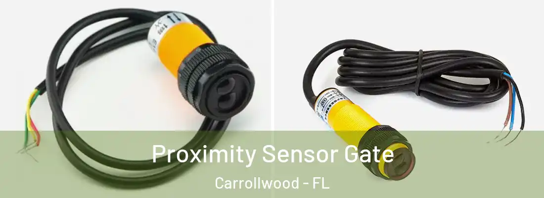 Proximity Sensor Gate Carrollwood - FL