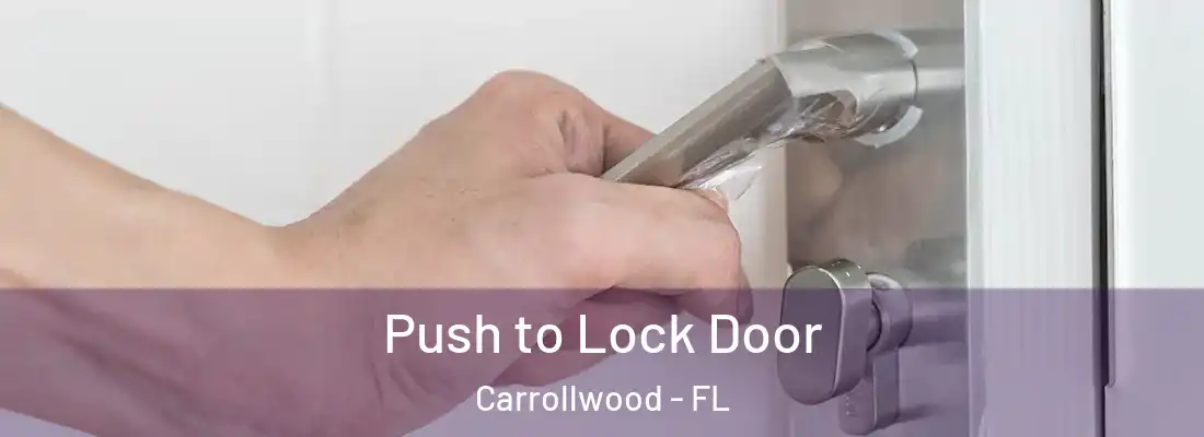 Push to Lock Door Carrollwood - FL