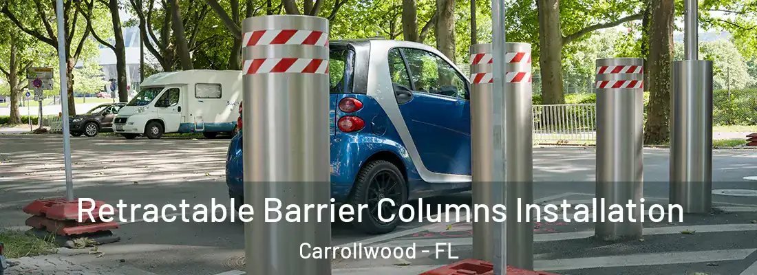 Retractable Barrier Columns Installation Carrollwood - FL