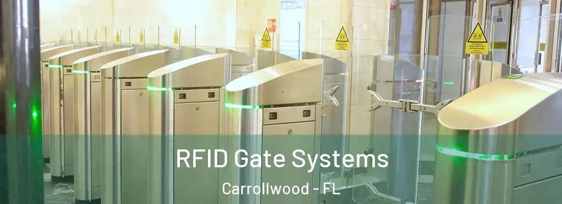 RFID Gate Systems Carrollwood - FL