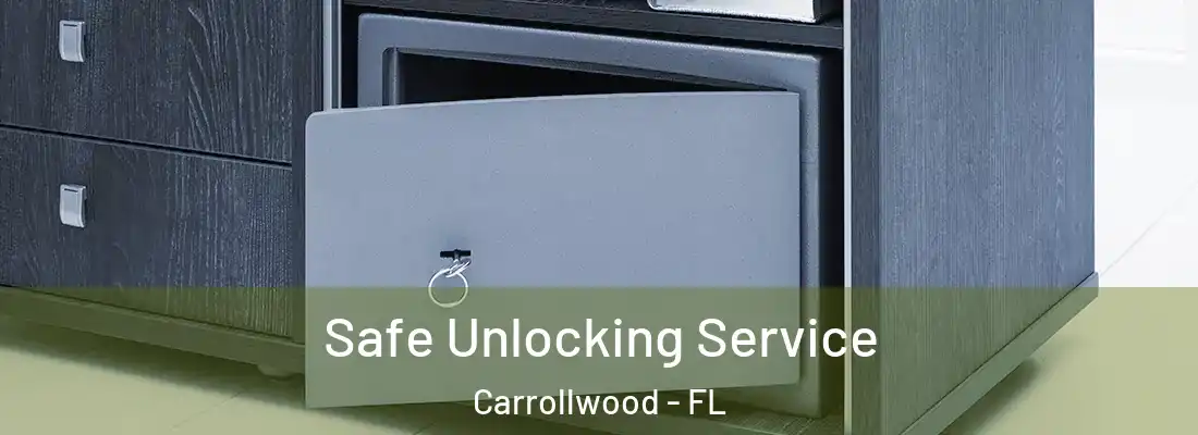 Safe Unlocking Service Carrollwood - FL