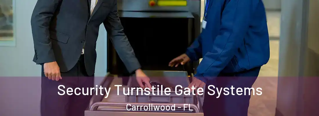 Security Turnstile Gate Systems Carrollwood - FL