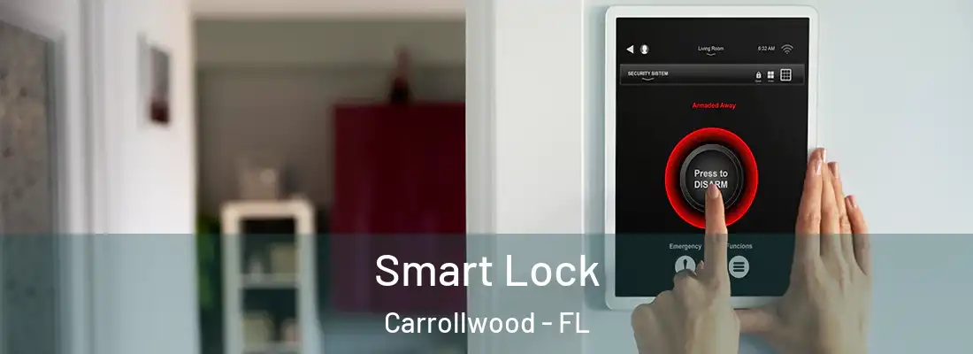 Smart Lock Carrollwood - FL