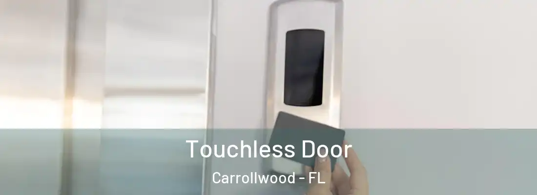 Touchless Door Carrollwood - FL