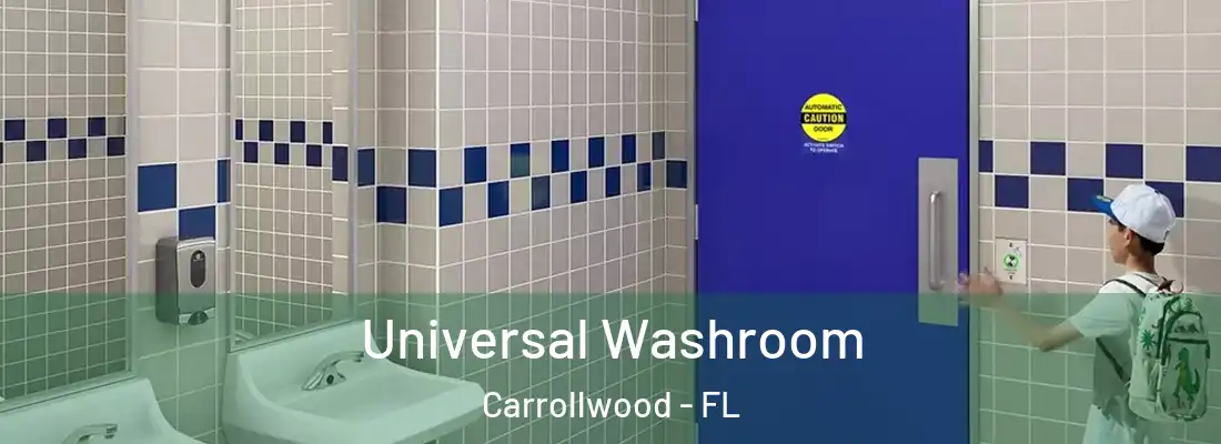 Universal Washroom Carrollwood - FL