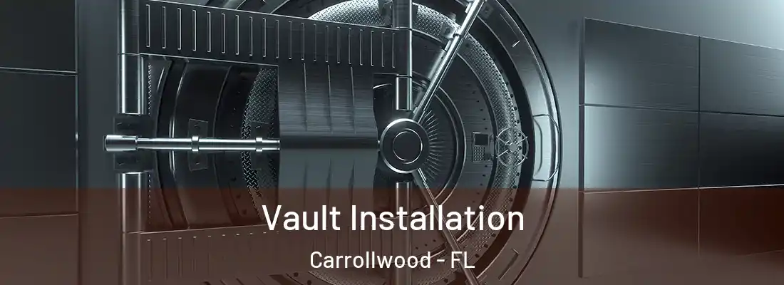 Vault Installation Carrollwood - FL