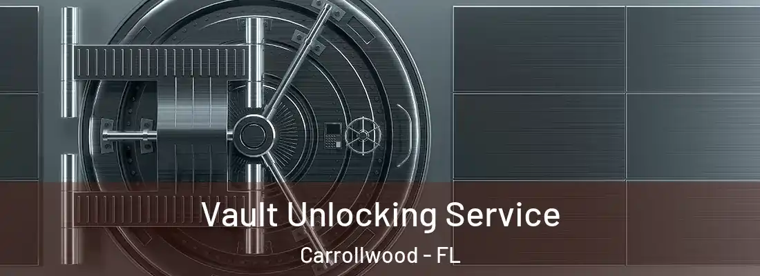 Vault Unlocking Service Carrollwood - FL